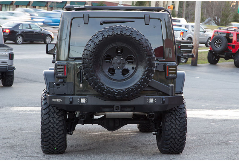 Rock Slide Engineering Rear Bumper and Tire Carrier with Rigid D2 Pods 