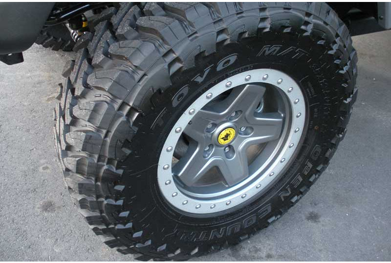 AEV Pintler Bead-Lock Wheels Toyo Open Country 35" Tires