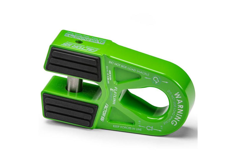 Factor 55 FlatLink Expert; Green