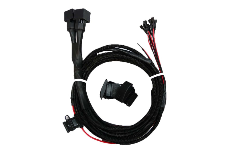 NACHO Quatro Wiring Harness