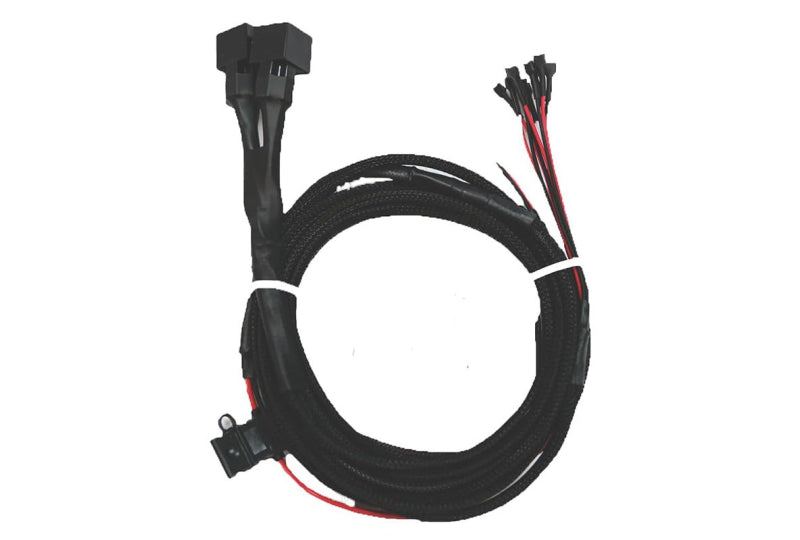 NACHO Quatro Wiring Harness No Switches