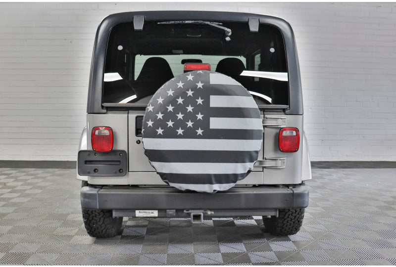 Gray 2001 jeep wrangler tJ rear JP-GRAY-1P349356